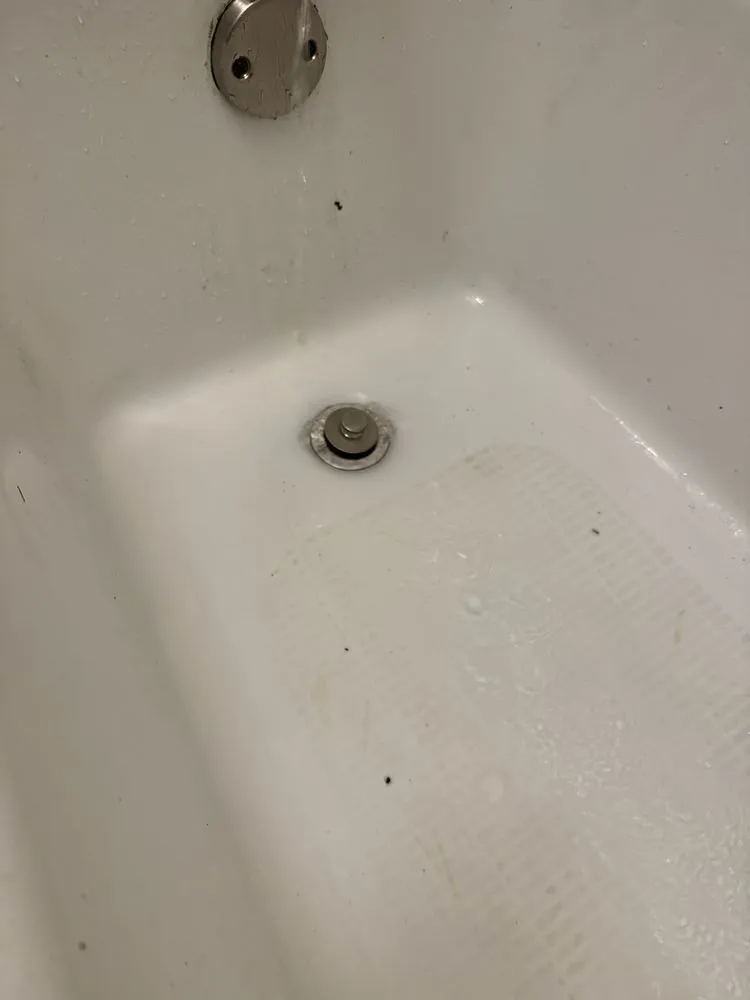 Slide of Root Busters