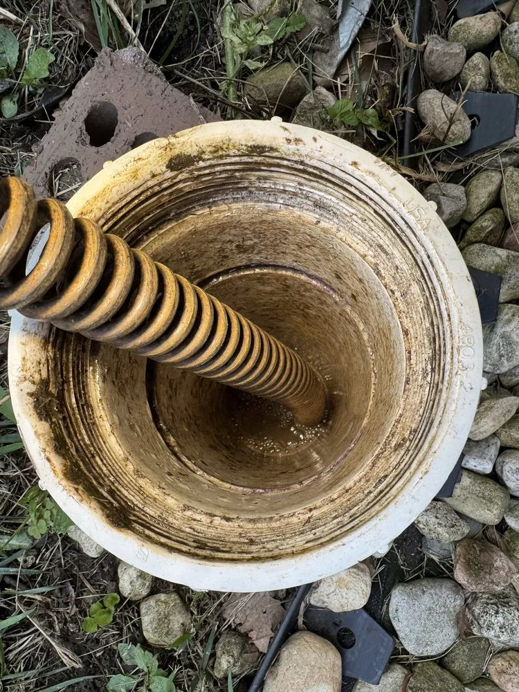 Slide of Root Busters