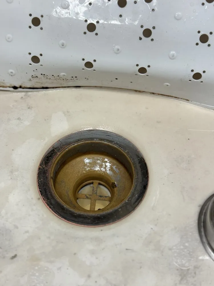 Slide of Root Busters