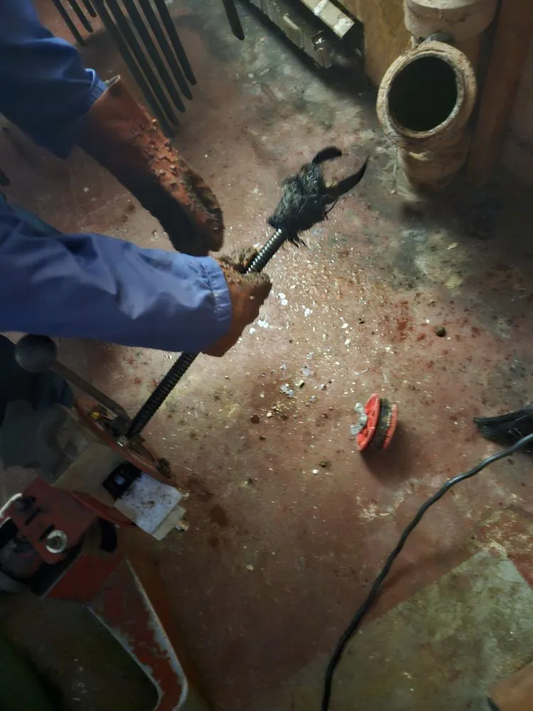 Slide of Root Busters