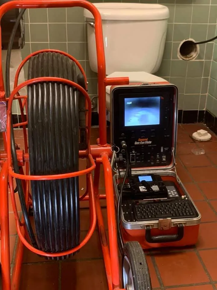 Slide of Root Runner