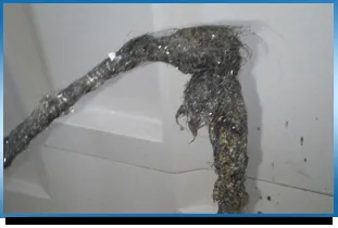 Slide of Root Wrestler Plumbing, Sewer & Drain Cleaning