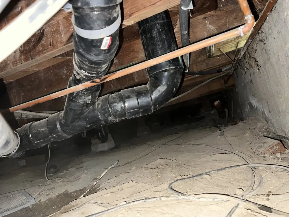 Slide of Root X Plumbing