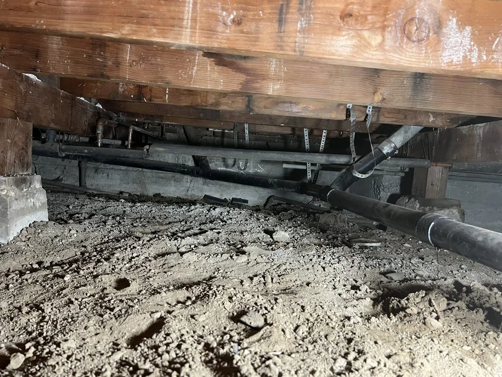 Slide of Root X Plumbing