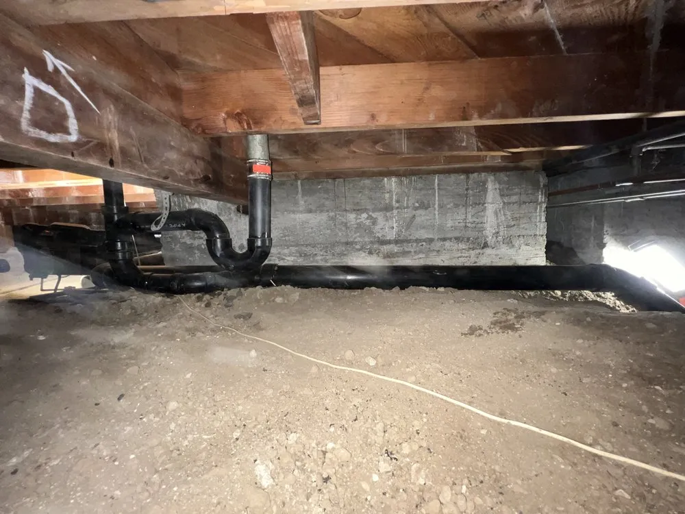 Slide of Root X Plumbing