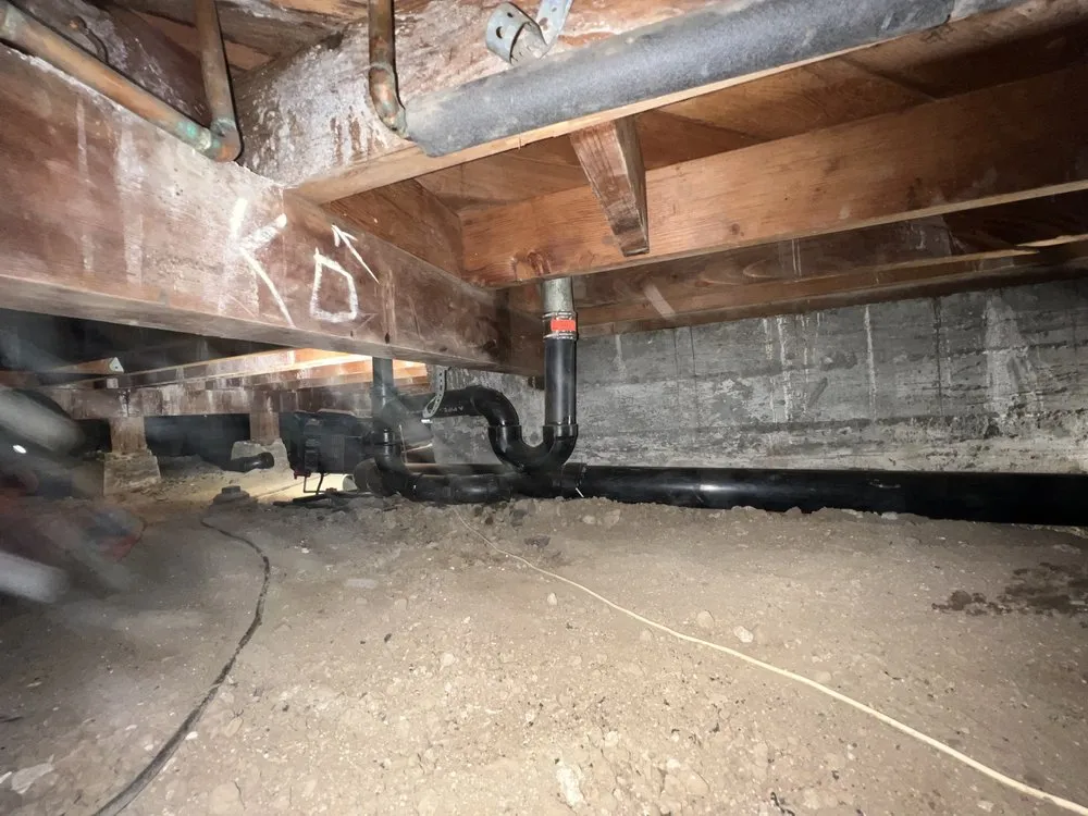 Slide of Root X Plumbing