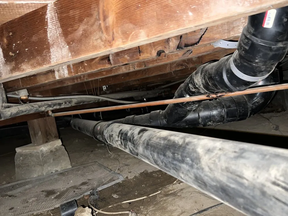 Slide of Root X Plumbing