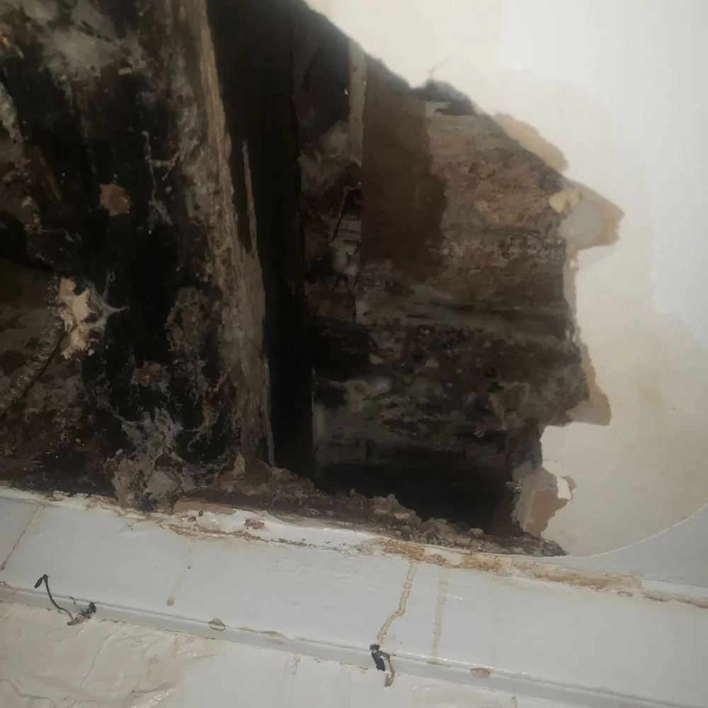 Reliable leak detection experts serving Brooklyn, NY - Rooter 99 Sewer & Drains