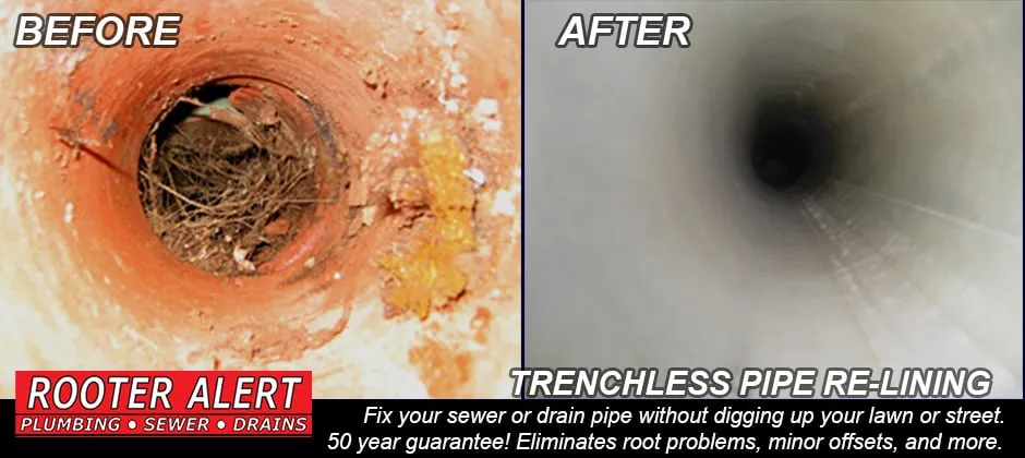 Slide of Rooter Alert Plumbing Sewer Drains