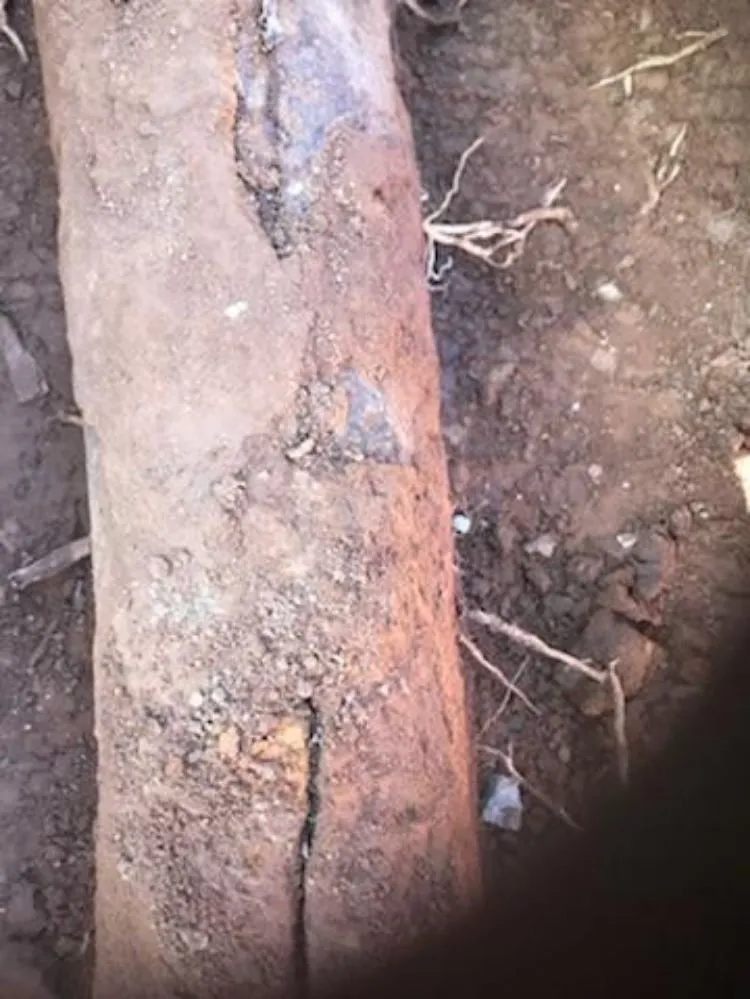 Slide of Rooter and Sewer Inspection