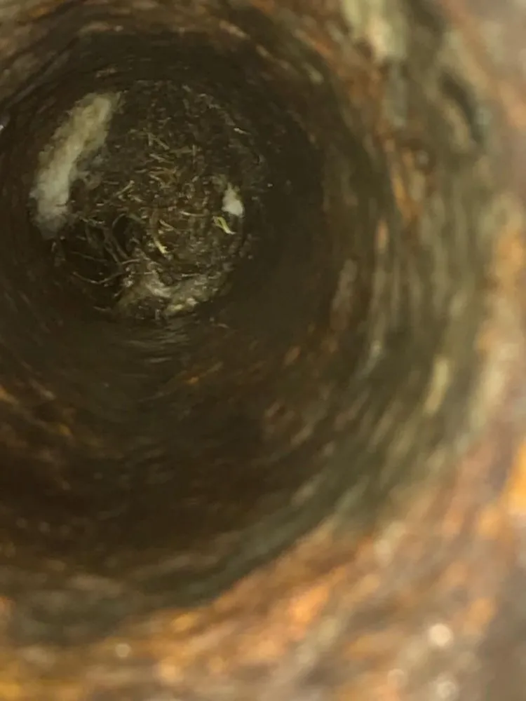 Reliable emergency plumbing for homes in Pico Rivera, CA by Rooter and Sewer Inspection