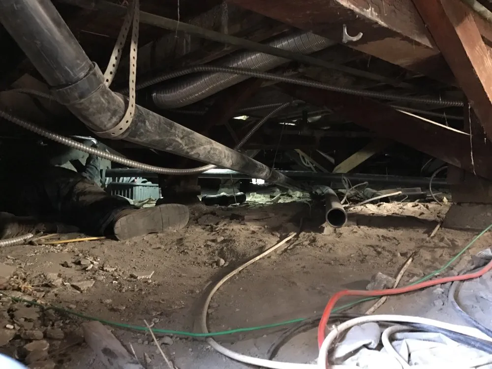 Slide of Rooter Boys