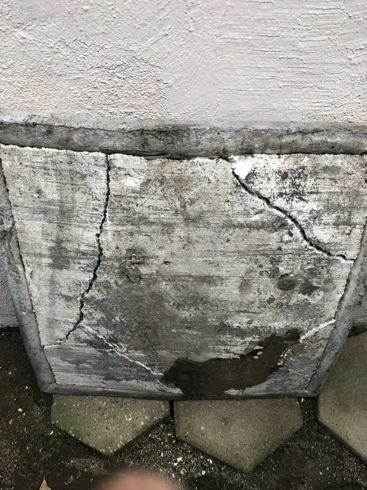 Slide of Rooter Boys