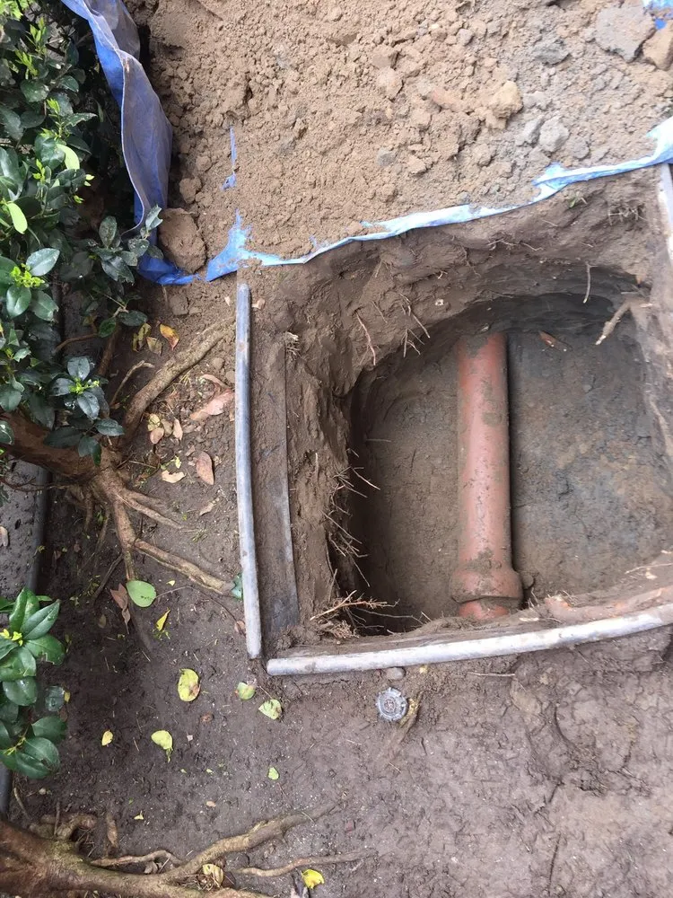 Slide of Rooter Boys