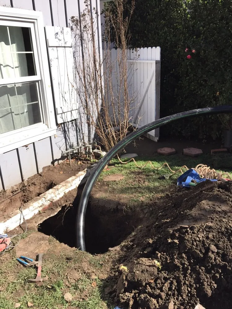 Slide of Rooter Boys