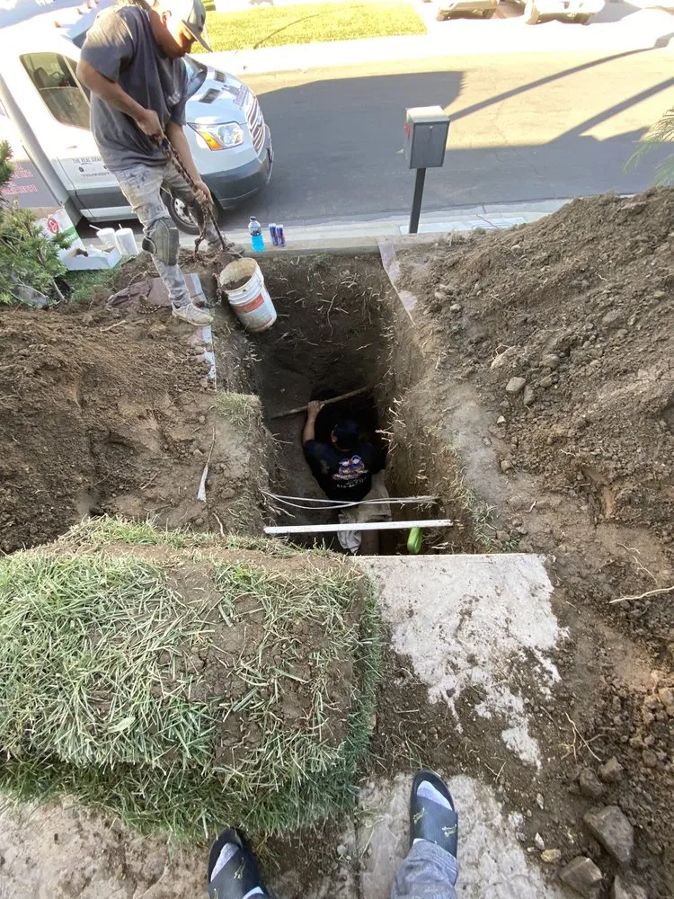 Slide of Rooter Boys