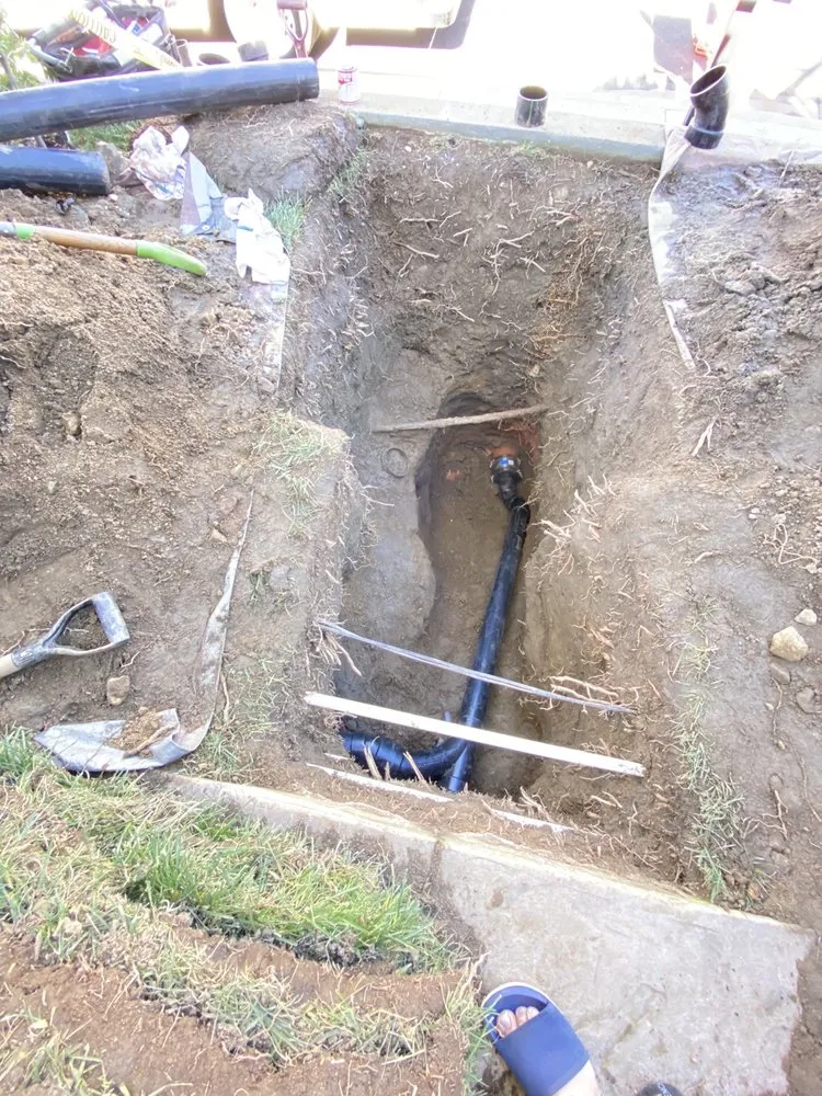 Slide of Rooter Boys