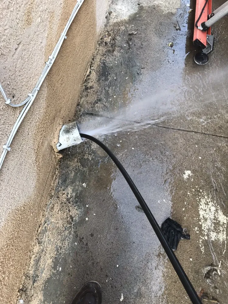 Slide of Rooter Champion | Whittier