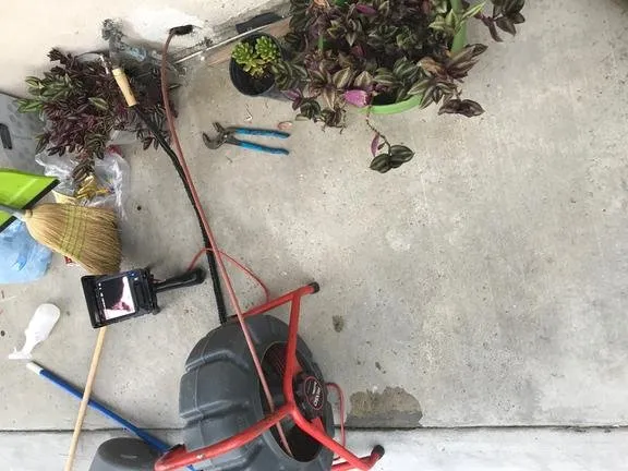 Slide of Rooter Champion | Whittier