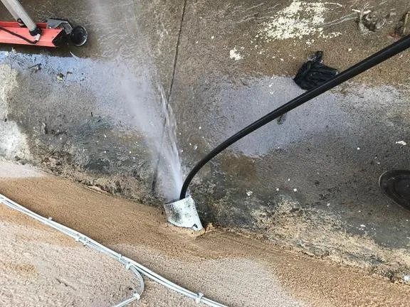 Slide of Rooter Champion | Whittier