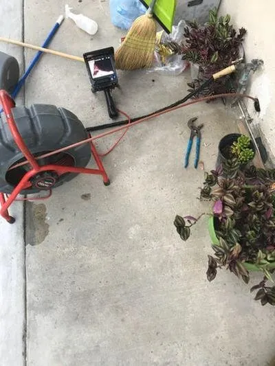 Slide of Rooter Champion | Whittier