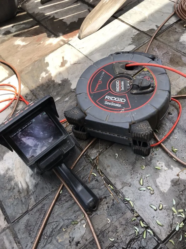 Slide of Rooter Champion | Whittier