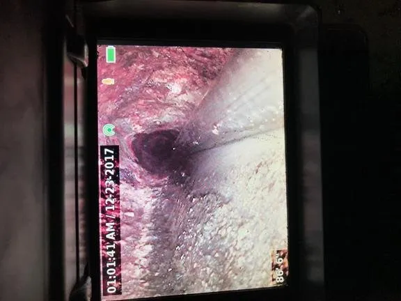 Slide of Rooter Champion | Whittier