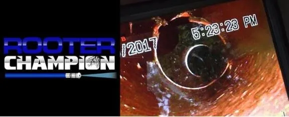 Slide of Rooter Champion | Whittier