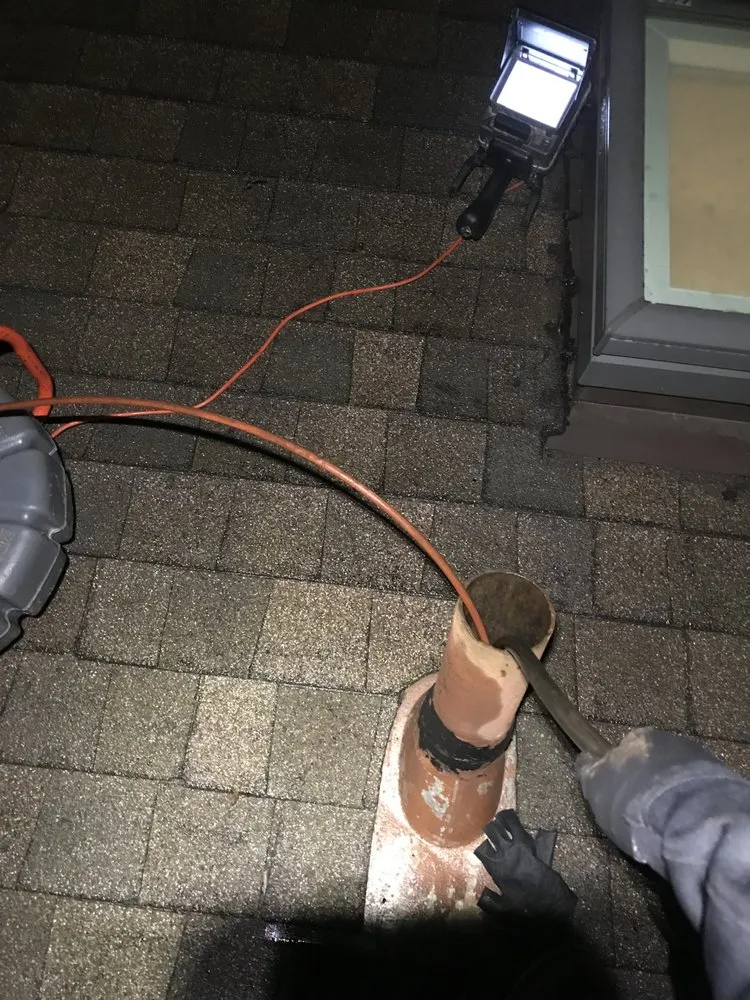 Slide of Rooter Champion | Whittier