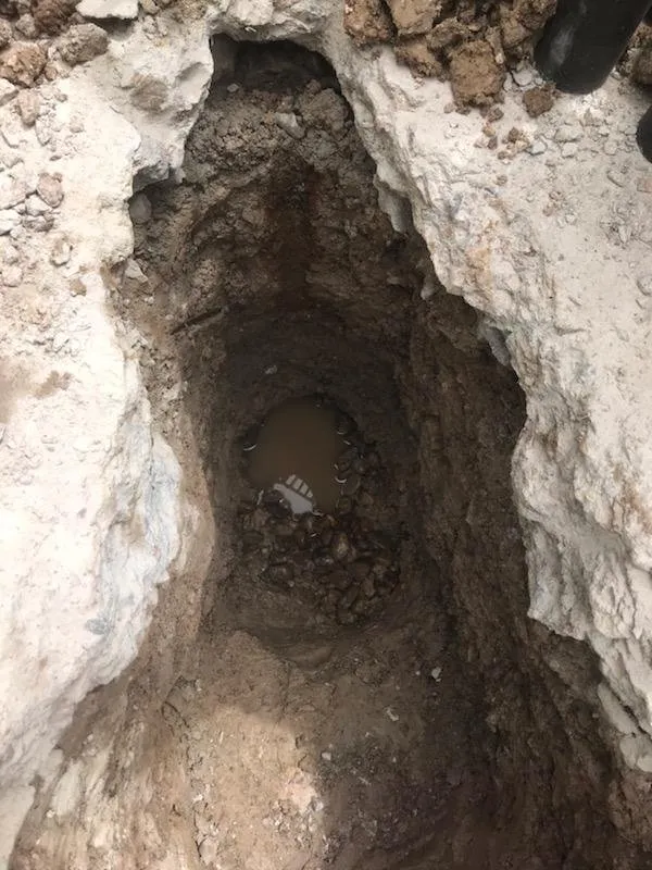 Slide of Rooter Discounts