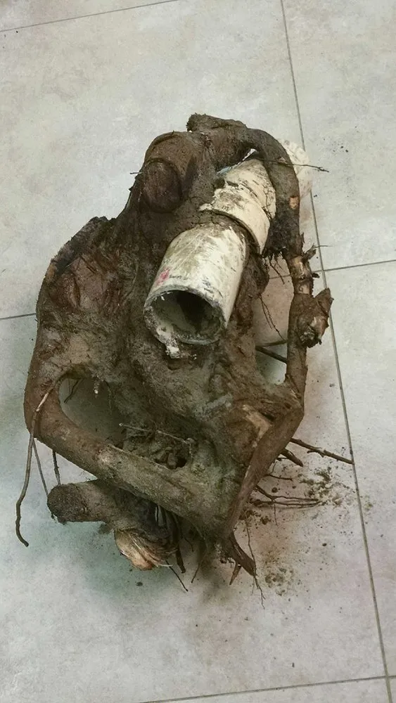 Affordable leak detection experts serving Brunswick, GA - Rooter Express Plumbing & Drain