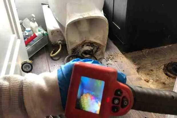 Slide of Rooter Flush