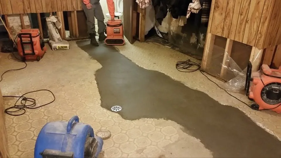 Slide of Rooter Flush