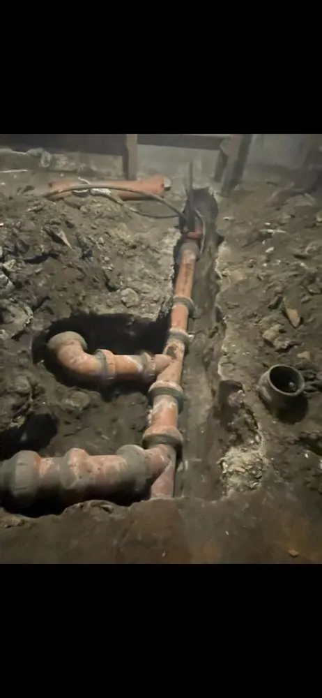 Slide of Rooter Flush