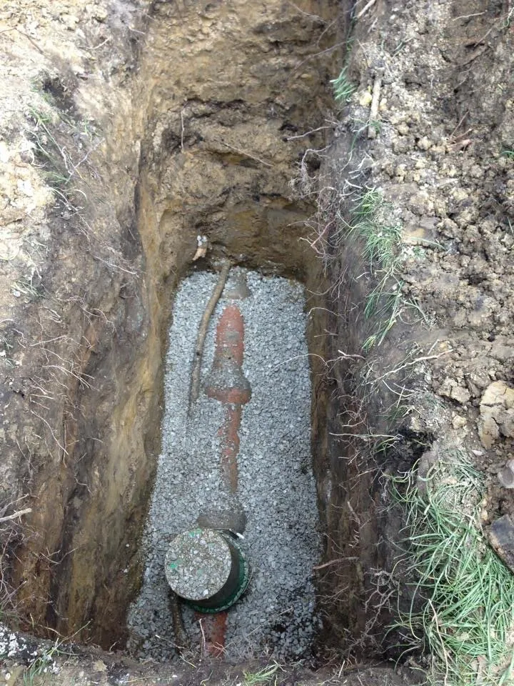 Slide of Rooter Flush