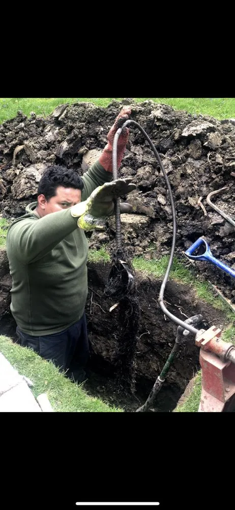 Slide of Rooter Flush