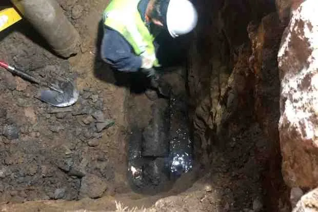 Slide of Rooter Flush