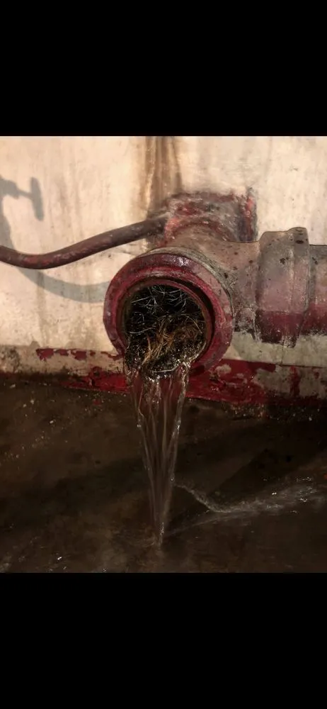 Slide of Rooter Flush