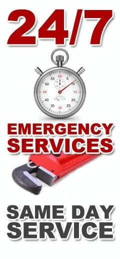 Slide of Rooter Flush