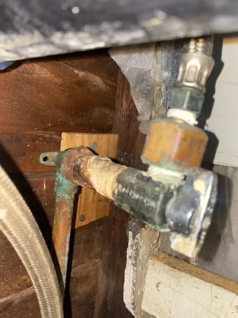 Slide of Rooter Guard