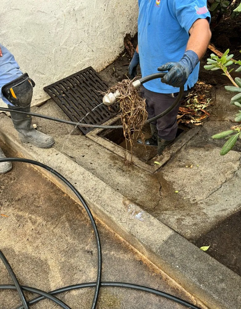 Slide of Rooter Guard