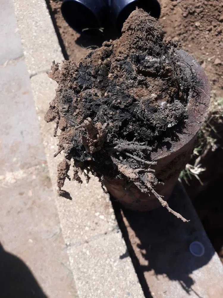 Slide of Rooter Guard