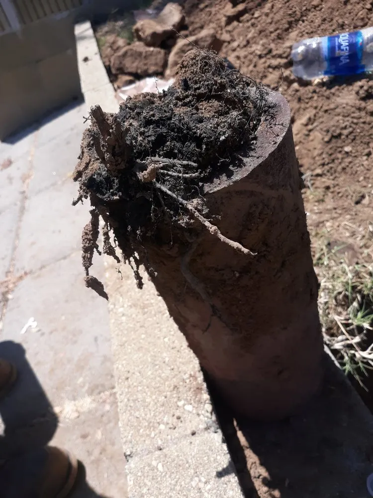 Slide of Rooter Guard