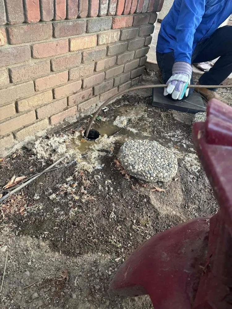 Slide of Rooter Hero - San Jose