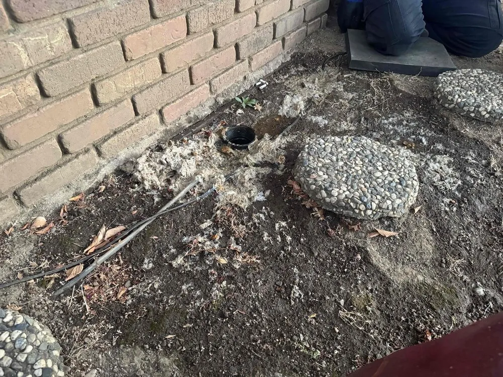 Slide of Rooter Hero - San Jose