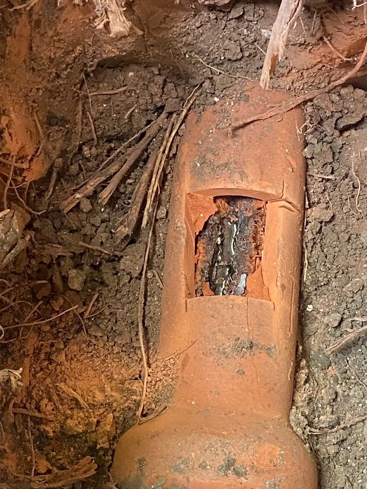 Slide of Rooter John