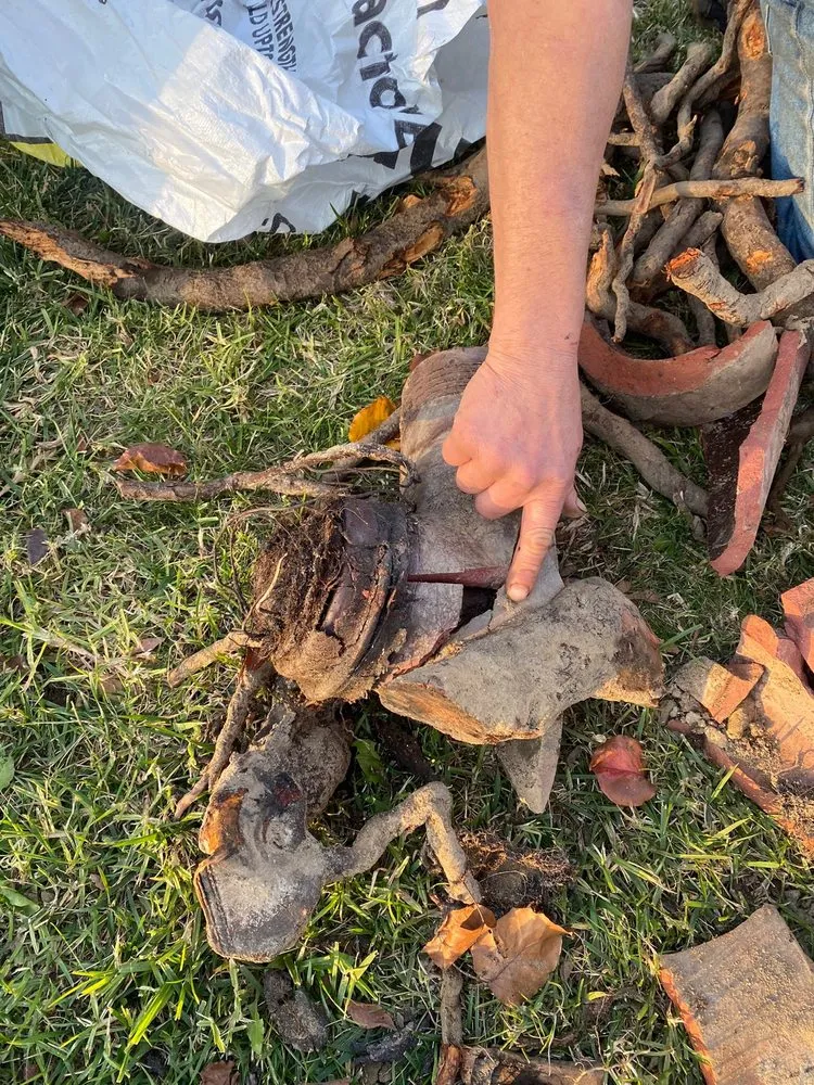 Slide of Rooter John