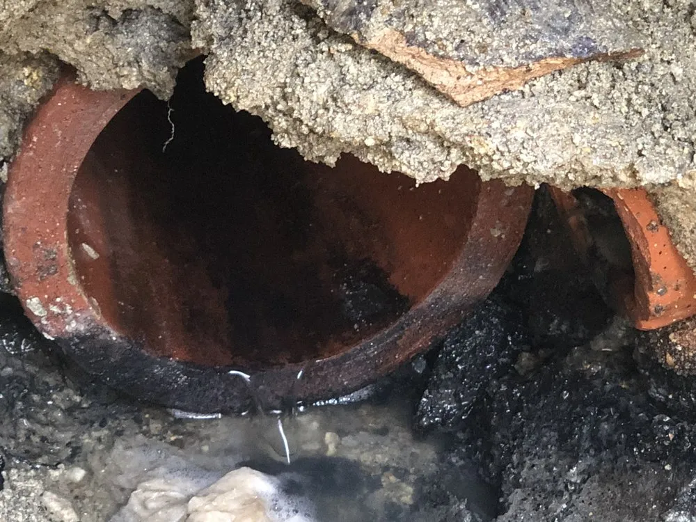 Trusted drain cleaning service in Seaside, CA - Rooter King Plumbing & Sewer Repair