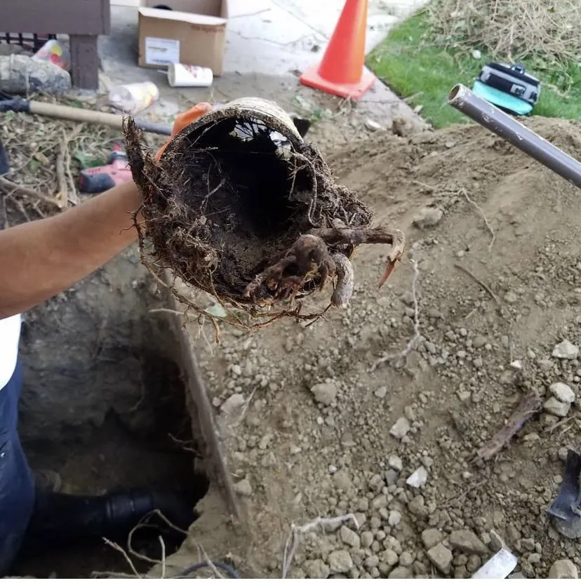 Slide of Rooter King Plumbing