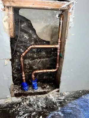 Rooter King Plumbing Logo